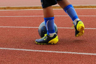 B体育体育app下载地址-荷兰全面碾压挪威，赢得晋级资格！